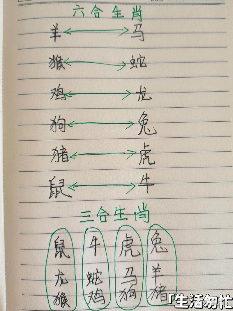“含糊不清”打一正确的生肖