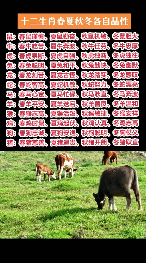 “春来无处不花香，云物凄凉拂惊蓋”是什么生肖