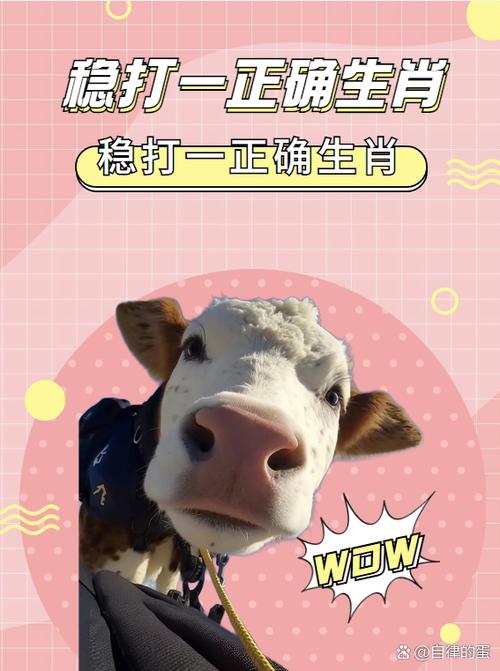 “披褂上阵”打一个生肖动物
