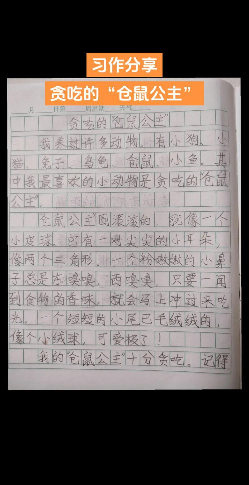 “井底下写文章”打一个生肖动物