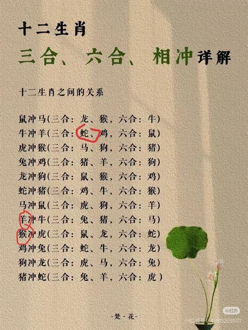 “管它南北与西东，始信动得永不穷”是什么生肖动物