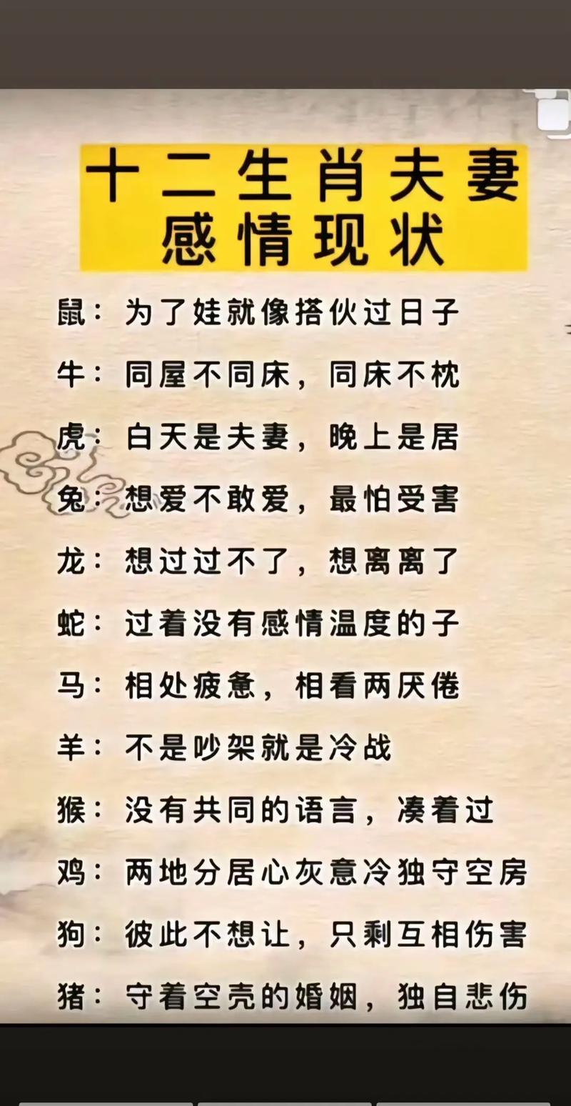 “不出所料”是什么生肖