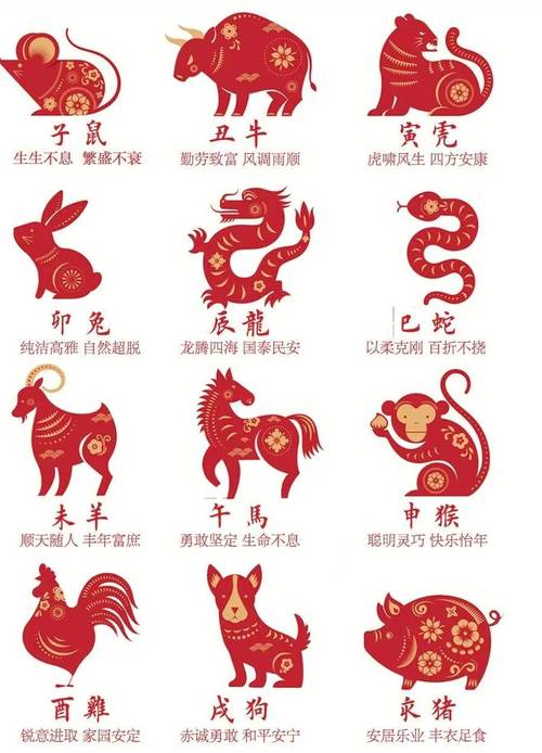 “今期生肖新玩意”代表什么生肖